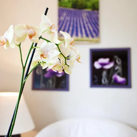 Apartament Katharina